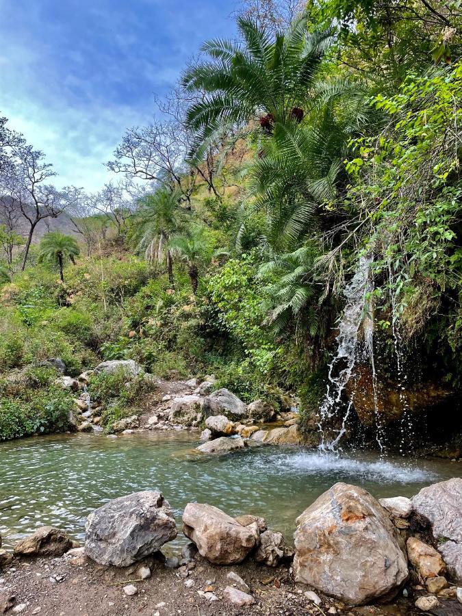 Shiv Shakti Yogpeeth Cottages Rishīkesh المظهر الخارجي الصورة